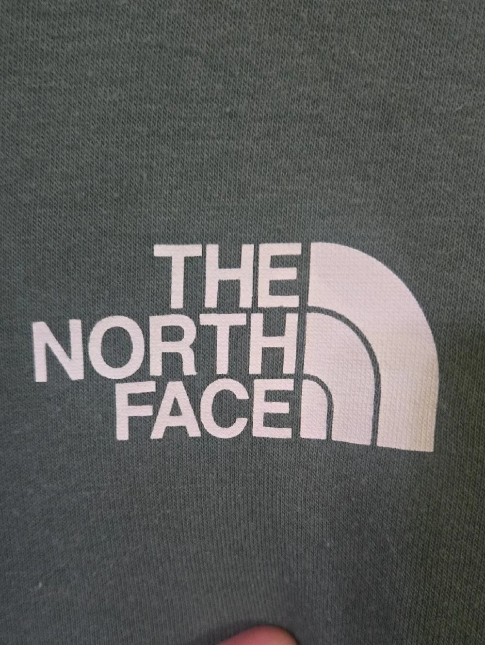 The North Face Men's Pullover Hoodie in Sage Green